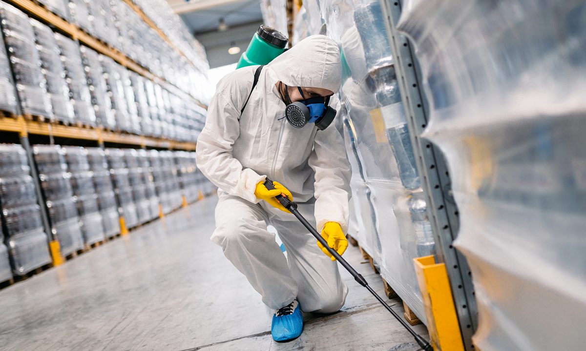 The Ultimate Guide to Pest Control in Mackay